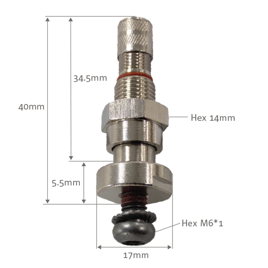 Hamaton Truck TPMS Valves Box of 10 - Valves and Service Kits